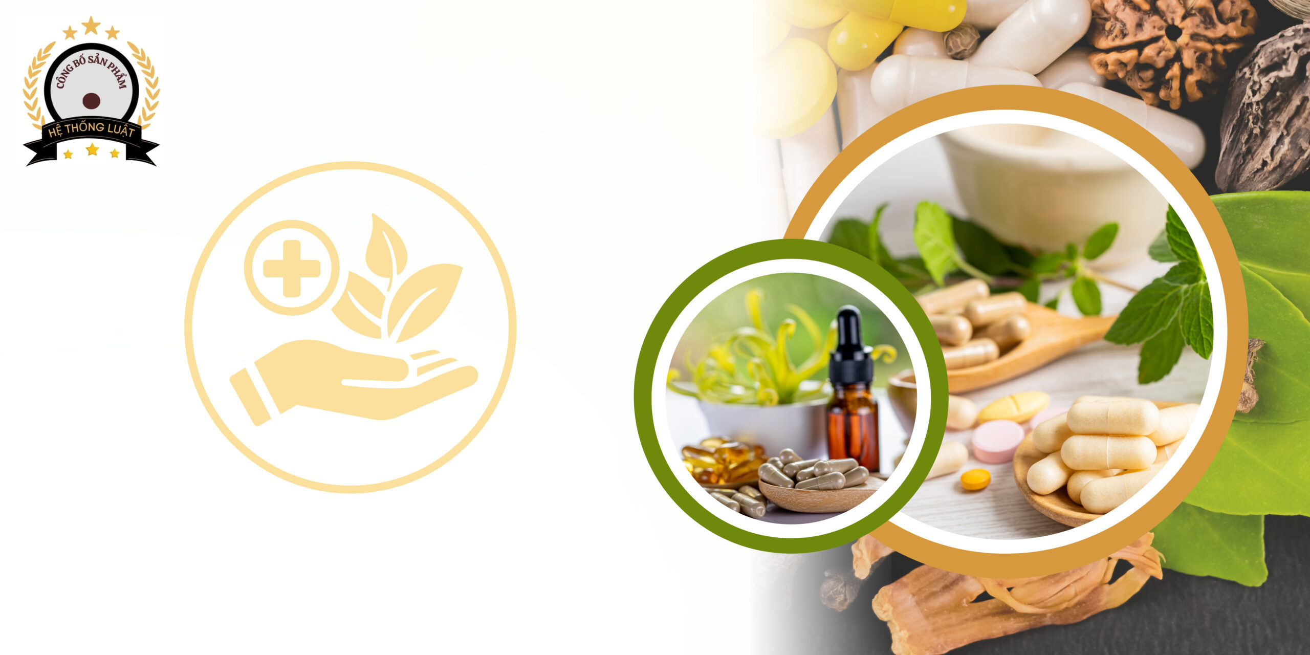 [XÃ ĐẠI NGÃI, CẦN THƠ] – Dịch vụ trọn gói đăng ký công bố đối với thực phẩm chức năng hiện nay ở địa điểm xã Đại Ngãi, Cần Thơ - Ảnh 2